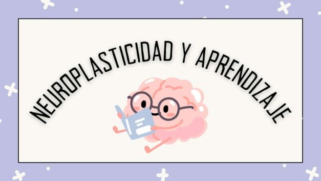 Cómo entrenar tu cerebro para aprender más rápido