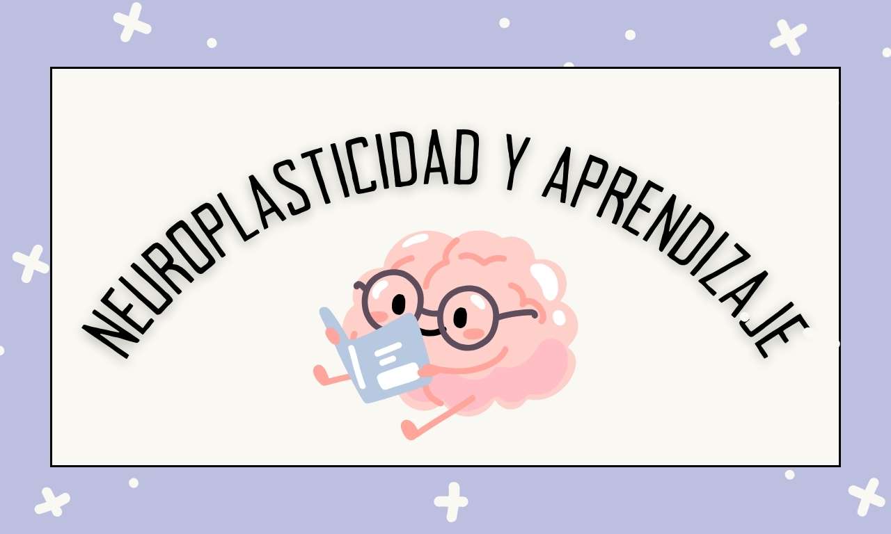 Cómo entrenar tu cerebro para aprender más rápido